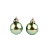Golden Seafoam Green Tahitian Pearl & Diamond Toru Earrings on 14K White Gold