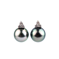 Pink Peacock Tahitian Pearl & Diamond Toru Earrings on 14K White Gold