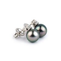Pink Peacock Tahitian Pearl & Diamond Toru Earrings on 14K White Gold