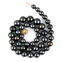 Purple Passion 7.8-11.8mm Tahitian Pearl Strand
