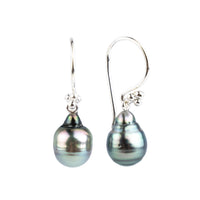 Blue Pink Circled-Drop Tahitian Pearl Hook Earrings on Sterling Silver