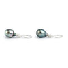 Blue Pink Circled-Drop Tahitian Pearl Hook Earrings on Sterling Silver