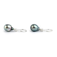 Blue Pink Circled-Drop Tahitian Pearl Hook Earrings on Sterling Silver