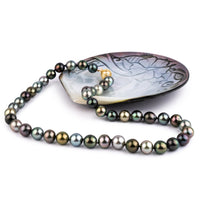 Bird of Paradise 9-10.8mm Tahitian Pearl Strand