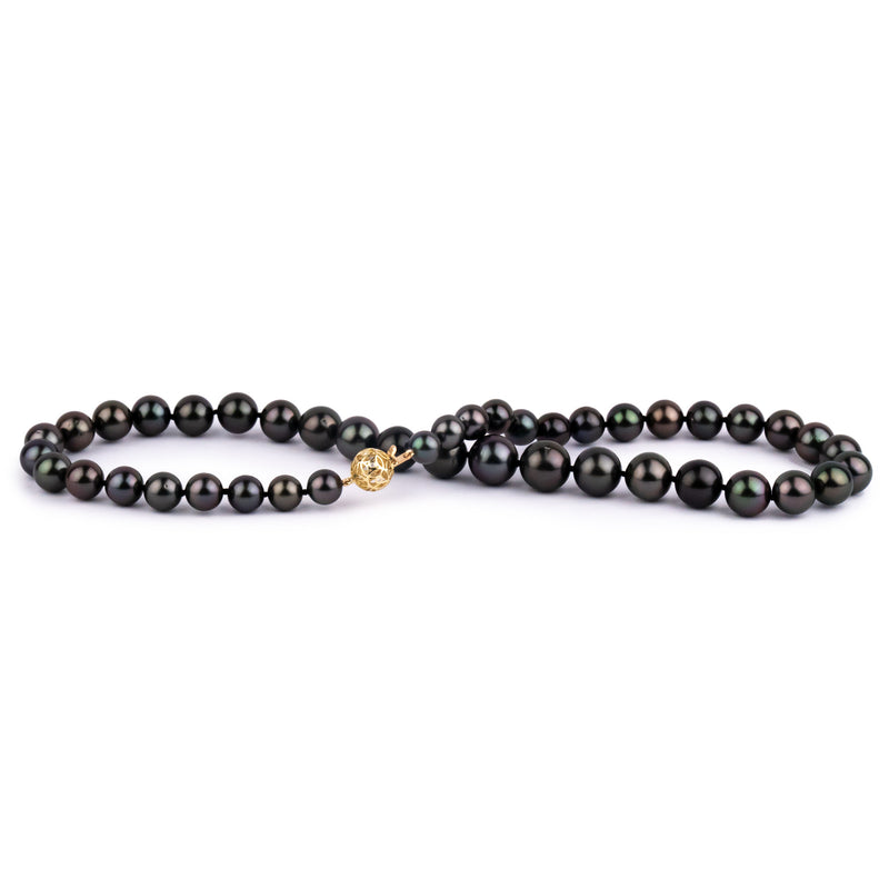 Purple Passion 7.8-11.8mm Tahitian Pearl Strand