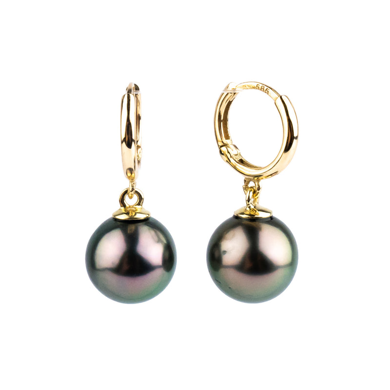 Pink Peacock Tahitian Pearl Huggie Hoop Earrings