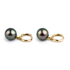 Pink Peacock Tahitian Pearl Huggie Hoop Earrings