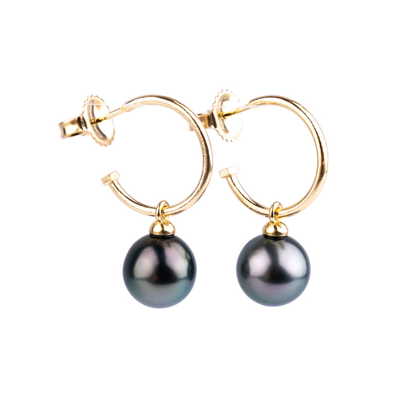 Lavender Blue Tahitian Pearl Hoop Earrings on 14K Yellow Gold