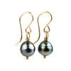 Multi-Colorful Circled Tahitian Pearl Dangles on 14/20 Gold-Filled