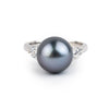 Tahitian Pearl & Diamond Bisou Ring on 14K White Gold
