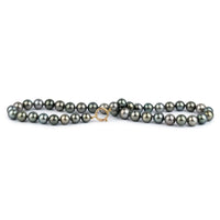 Ocean Moonlight 10.2-12.5mm Tahitian Pearl Strand