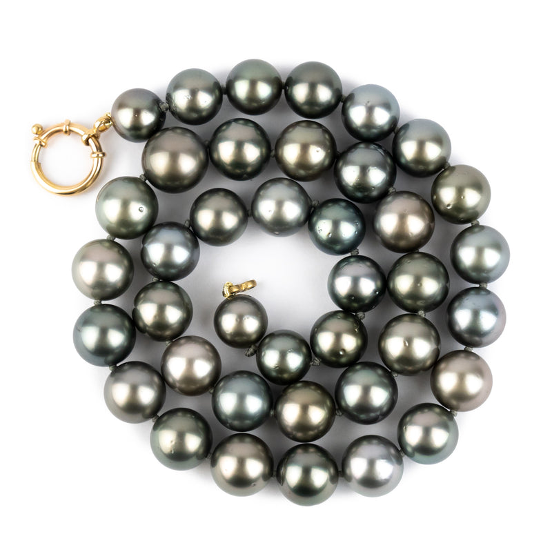 Ocean Moonlight 10.2-12.5mm Tahitian Pearl Strand
