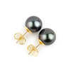 Midnight Purple 10-10.7mm Tahitian Pearl Statement Stud Earrings