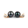 Tahitian Pearl & Diamond Nova Earrings on 14K Rose Gold