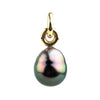 Flashy Plum Peacock Baroque 10.2mm Tahitian Pearl Rava Pendant on 14K Yellow Gold