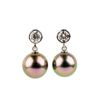 Tahitian Pearl & Diamond Nova Earrings on 14K White Gold