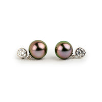 Tahitian Pearl & Diamond Nova Earrings on 14K White Gold