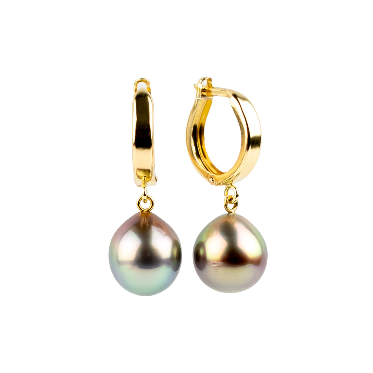 Golden Rainbow 9.4mm Tahitian Pearl Hoop Earrings on 14K Yellow Gold