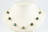 Indigo Peacock Tin-Cup Tahitian Pearl Necklace on 14/20 Gold Filled