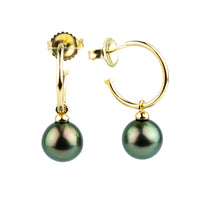 Peacock Green Tahitian Pearl Hoop Earrings on 14K Yellow Gold