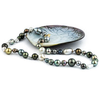 Tahitian Pearl Harvest Strand