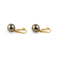 Golden Pink 10mm Tahitian Pearl Lever Back Earrings on 14K Yellow Gold