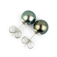 Peacock Green 8.2-8.8mm Tahitian Pearl Stud Earrings