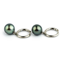 Blue Green 11.4mm Tahitian Pearl Hoop Earrings on Sterling Silver