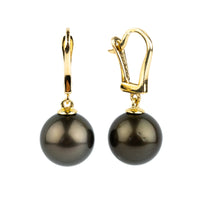 Dark Chocolate 10.5mm Tahitian Pearl Lever Back Earrings on 14K Yellow Gold