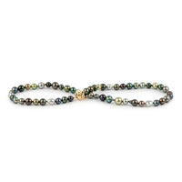 Tiny Tahitian Pearl Harvest Strand