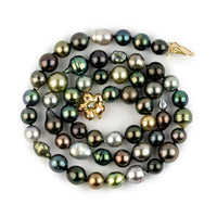 Tiny Tahitian Pearl Harvest Strand