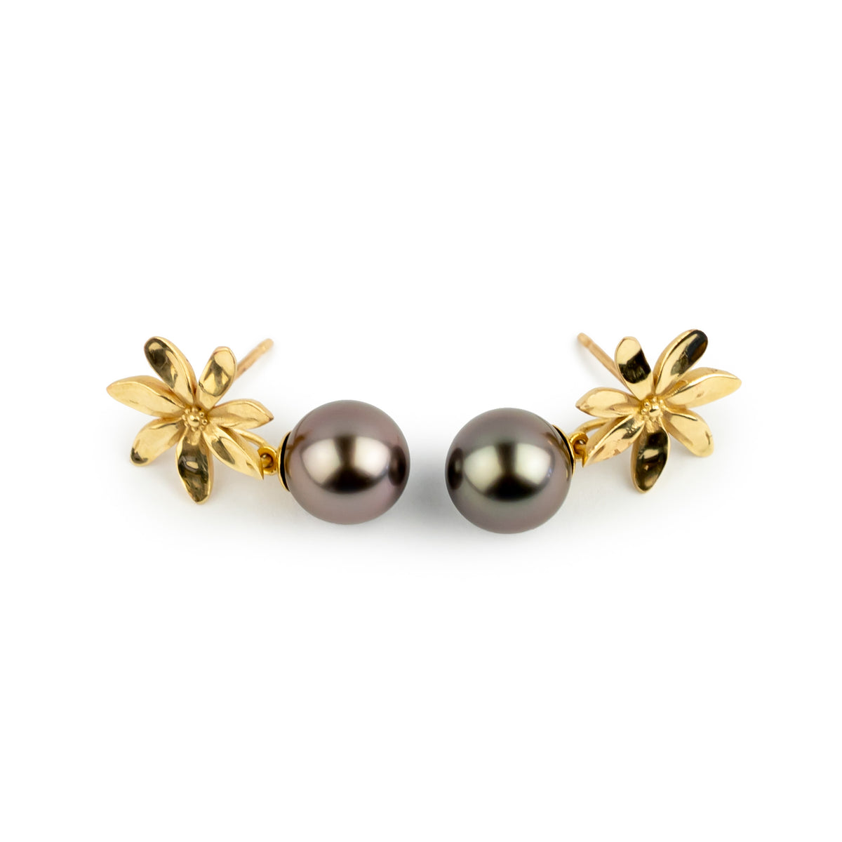 Aubergine Sunset Tiaré 14K Gold Tahitian Pearl Dangle Earrings