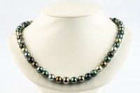 Bird of Paradise Baroque 8.6-10.6mm Tahitian Pearl Strand