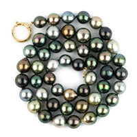 Bird of Paradise Baroque 8.6-10.6mm Tahitian Pearl Strand