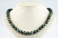 Luminous Blue-Green 9.9-11.4mm Tahitian Pearl Strand