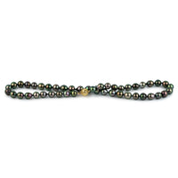 Kaleidoscopic Peacock 8.9-11.5mm Tahitian Pearl Strand