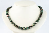 Kaleidoscopic Peacock 8.9-11.5mm Tahitian Pearl Strand