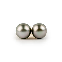 Pastel Ice 9-9.7mm Tahitian Pearl Stud Earrings