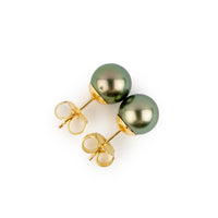 Warm Golden Green 8.4-8.8mm Tahitian Pearl Stud Earrings