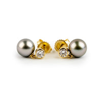 Tahitian Pearl & Diamond Nova Earrings on 14K Yellow Gold
