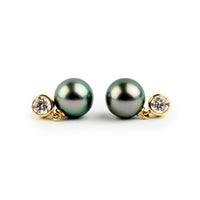 Tahitian Pearl & Diamond Nova Earrings on 14K Yellow Gold