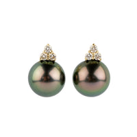 Aubergine Peacock Tahitian Pearl & Diamond Toru Earrings on 14K Yellow Gold