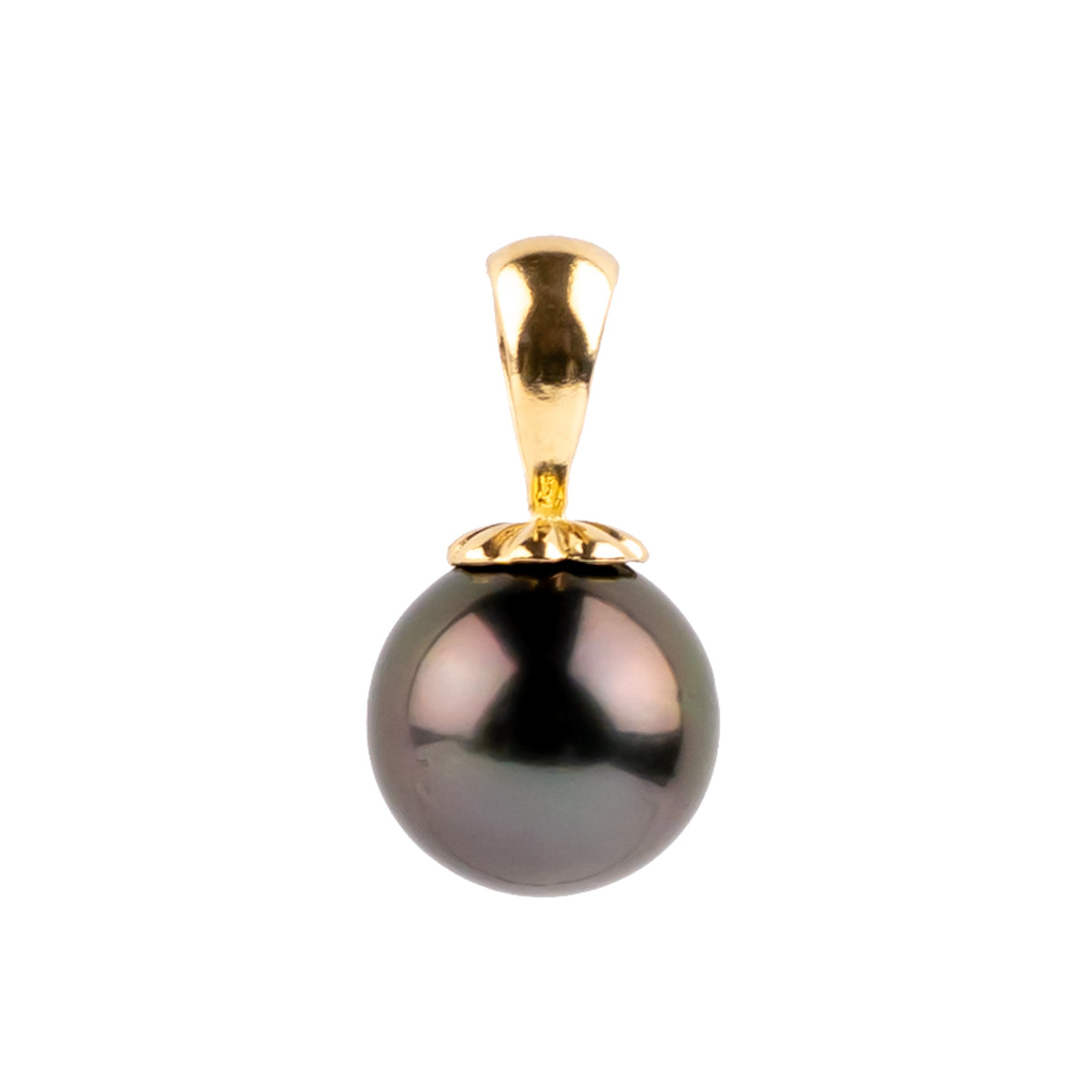 Aubergine Eclipse 9.7mm Tahitian Pearl Pendant on 14K Yellow Gold