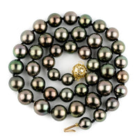 Aubergine Orchid 8.5-11.8mm Tahitian Pearl Strand