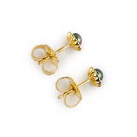 Warm Green Keshi Pearl 14K Gold Seashell Stud Earrings