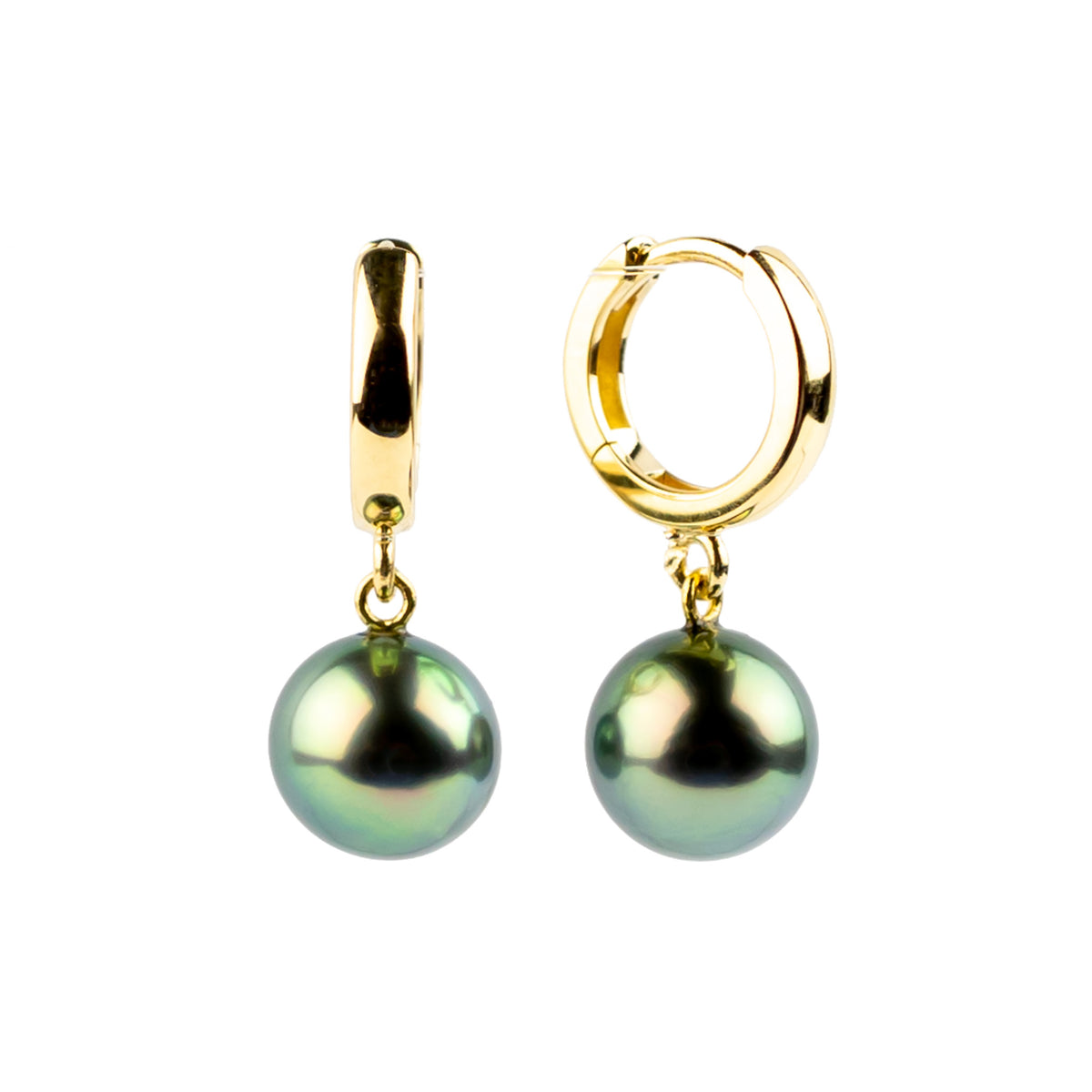 Vivid Peacock Tahitian Pearl Huggie Hoop Earrings