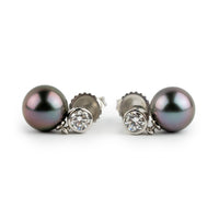 Tahitian Pearl & Diamond Nova Earrings on 14K White Gold