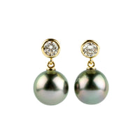 Tahitian Pearl & Diamond Nova Earrings on 14K Yellow Gold