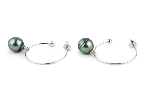 Blue-Green Circled Tahitian Pearl Hoop Earrings on Sterling Silver
