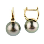 Golden Green 9.5mm Tahitian Pearl Lever Back Hoop Earrings